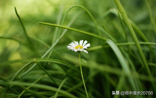 你最喜欢哪一首情歌？