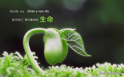 肖杨已死了:自己家的猫死了，作为家里人有什么样的感受？