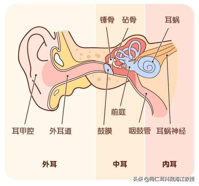 常见的中耳炎的症状及治疗方法:中耳炎的护理方法有哪些？