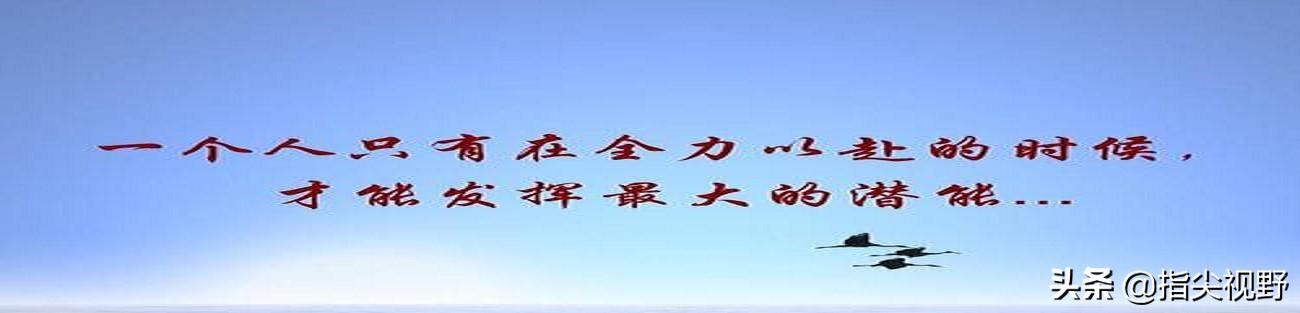 影响西施犬价格的三大因素:影响钓鱼主要因素有哪些？最重要的因素是什么？