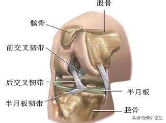 前交叉韧带断裂术后锻炼:前交叉韧带撕裂术后怎样康复怎样练屈伸？