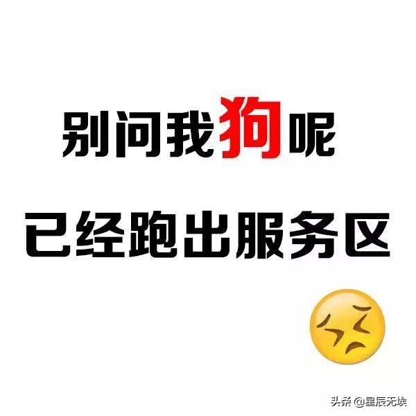 什么是白眼狼图片大全:骂白眼狼的图片大全 如何识别预防白眼狼，让精力花在真正值得帮助的朋友上？
