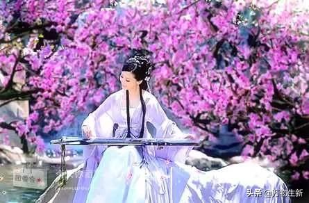 到底什么样的女生才能被称为小可爱？