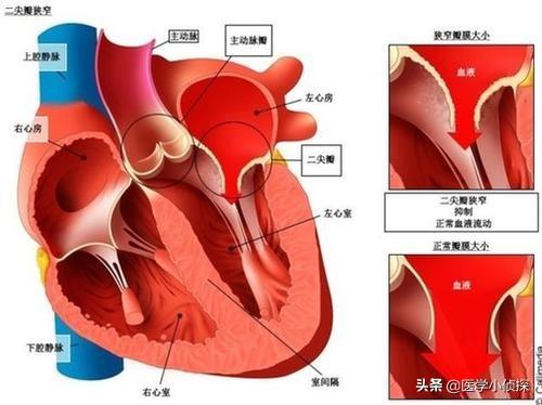 心率偏低正常吗