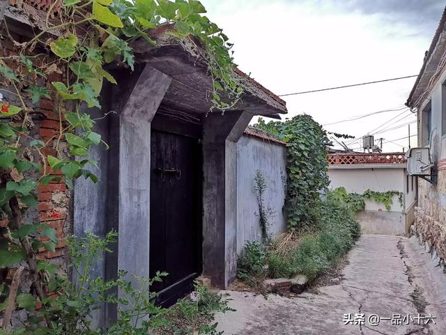 最激烈的床震大叫不停动态图:家里一个八九十岁的老人，天天晚上大喊大叫怎么办？