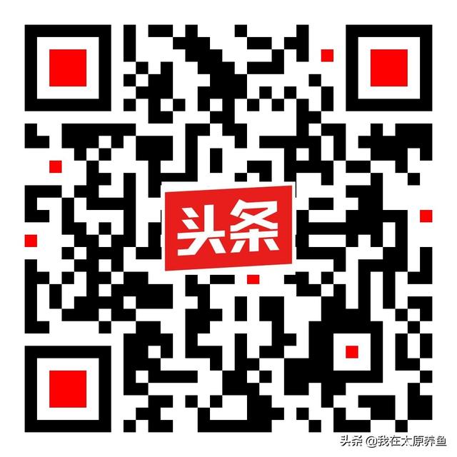 迷你鹦鹉鱼的饲养环境:迷你鹦鹉鱼孵化需要几天？