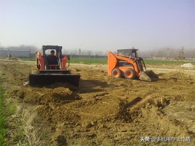 蕲蛇图片:蕲蛇的故事（附药：金钱白花蛇）？