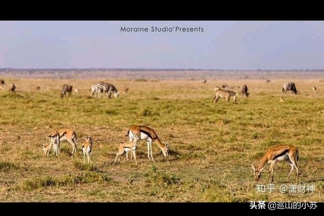 非洲土地广袤，为什么那里的人不种地，他们吃什么？插图41