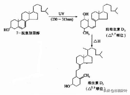 日常生活科普小知识,生活中有哪些化学知识与原理有哪些？