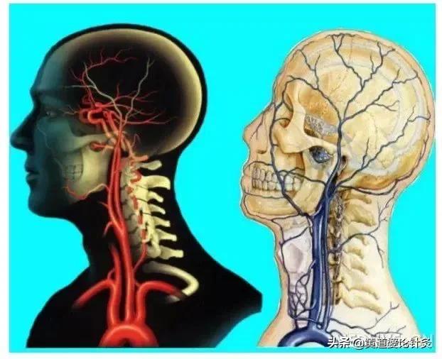 颈椎病会引起整天没精神吗:颈椎问题能引起每天头脑昏沉晕吗？