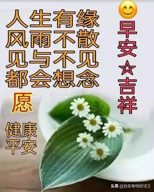 陰陽人是什麼樣子的,好人和壞人的中間稱為什麼?