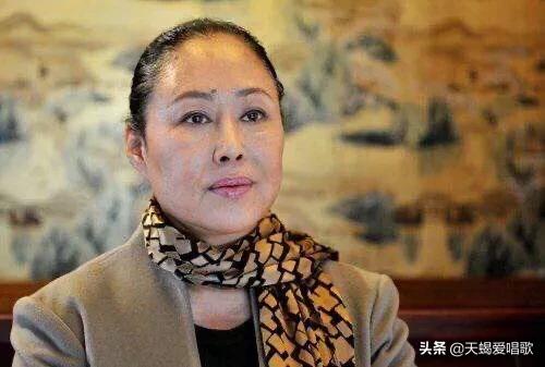 入外国国籍的中国明星现在怎么样？他们还能回国发展吗？