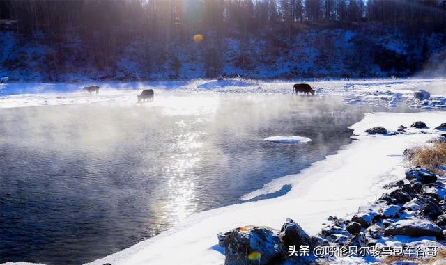 苏州宠物网型号规格:怎样的相机适合新手？有什么好相机可以推荐的？