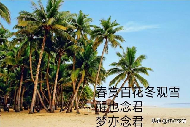 入骨相思何时止？