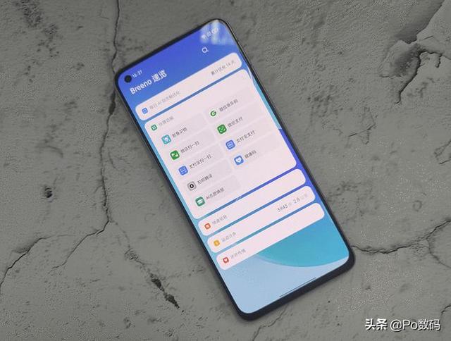 宠物志愿:宠物志愿者 在宠物店做学徒可以学的出来吗？