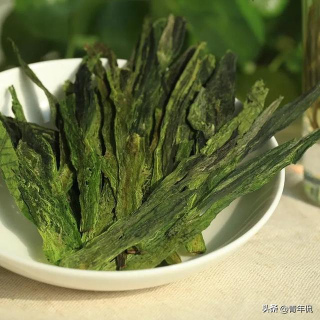 中国哪里产的绿茶最好，我国哪里种植的茉莉花茶比较好
