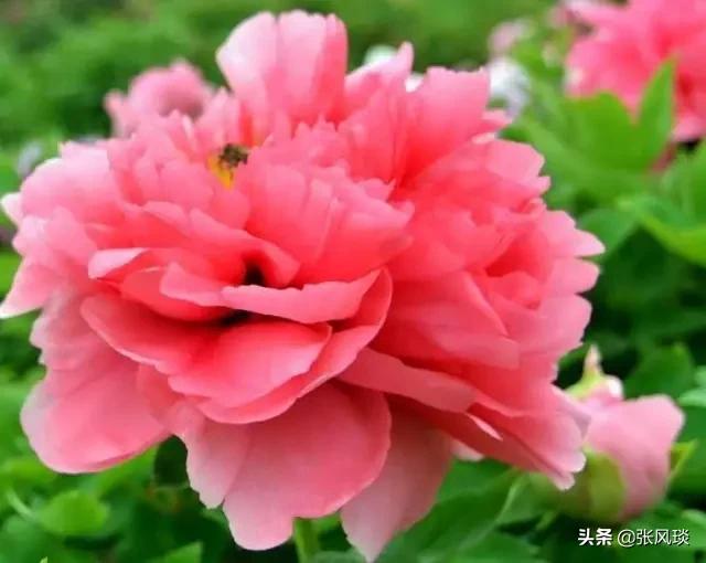 <a href=https://maguai.com/personal/ target=_blank class=infotextkey><a href=https://maguai.com/group/ target=_blank class=infotextkey>微信群</a></a>早安分享:<a href=https://maguai.com/personal/ target=_blank class=infotextkey><a href=https://maguai.com/group/ target=_blank class=infotextkey>微信群</a></a>里不退群却从来不说话的人，是什么心态？