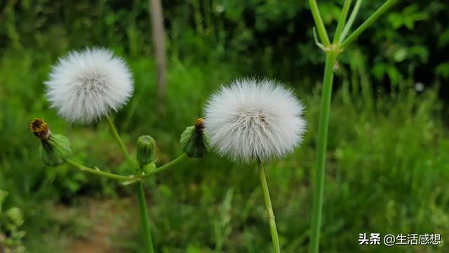 生活用水如何循环利用？节约用水有遭受别人嘲讽吗？