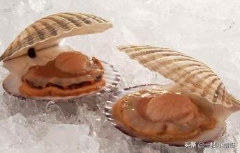 头条问答 扇贝蒸多久 放什么调料 一枝小蜻蜓的回答 0赞