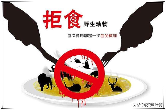 老鼠变成蝙蝠过程:为什么蝙蝠会在晚上出来，有人说老鼠吃了盐以后会变成蝙蝠？