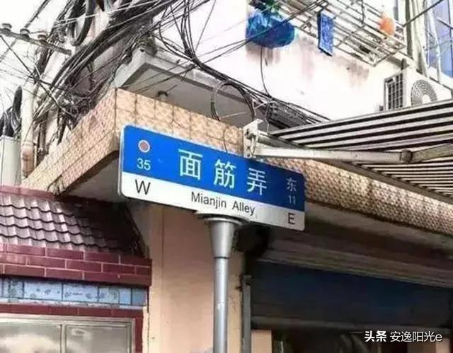哥伦比亚盆地侏儒兔的个人空间:你见过哪些奇特的街名或巷名？