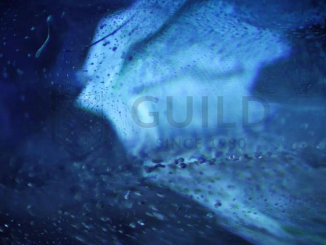 怎么鉴别祖母绿真假,有懂尖晶石的吗，怎么鉴别真假？