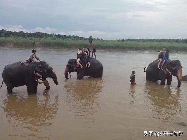 尼泊尔国旗,尼泊尔旅游是怎样的体验？