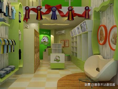 宠物服务项目简介:现在比较新奇的宠物服务都有哪些？