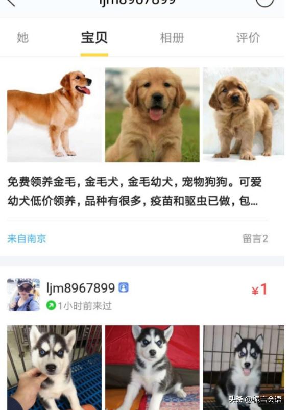 闲鱼宠物交易:如何在闲鱼上买狗不被骗？ 闲鱼宠物交易流程