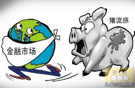 东莞环卫工人带宠物鸭扫大街:城市里如何解决宠物狗街上随意造脏难题？