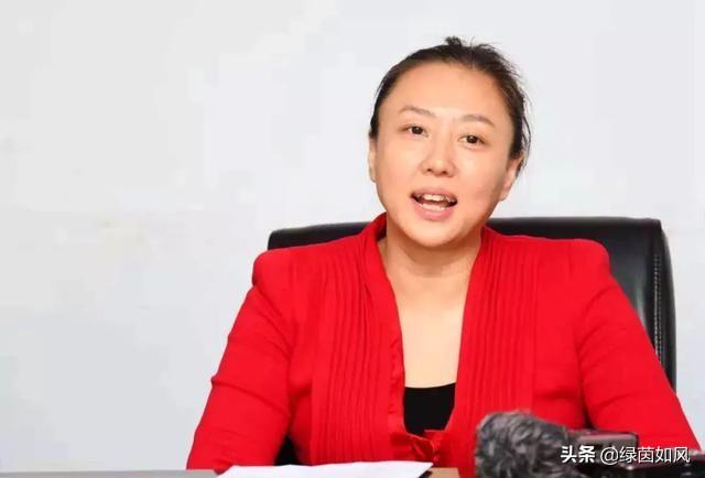 河南建业曾经的“美女老总”杨楠担任了中国足协执委，对此你怎么评价？
