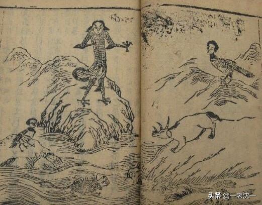 仙人板板是什么意思，在中国的神话世界里，是仙的地位高，还是神的地位高
