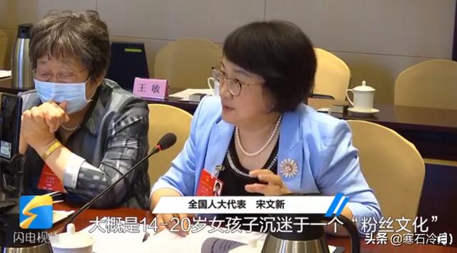 人大代表建议对娱乐界饭圈文化等不良风气进行整顿,你怎么看？