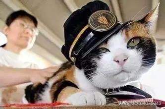 猫叔图片:帝都存款500万，还有5年多退休，孩子大学，需要焦虑吗？