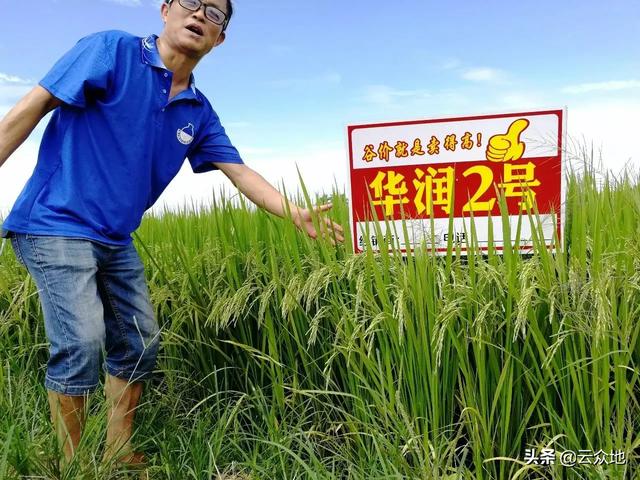 杨奇清:湖南省平江县走出去的名人有哪些？