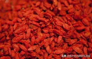 条友们今年咱陕北的老百姓种什么比较挣钱？