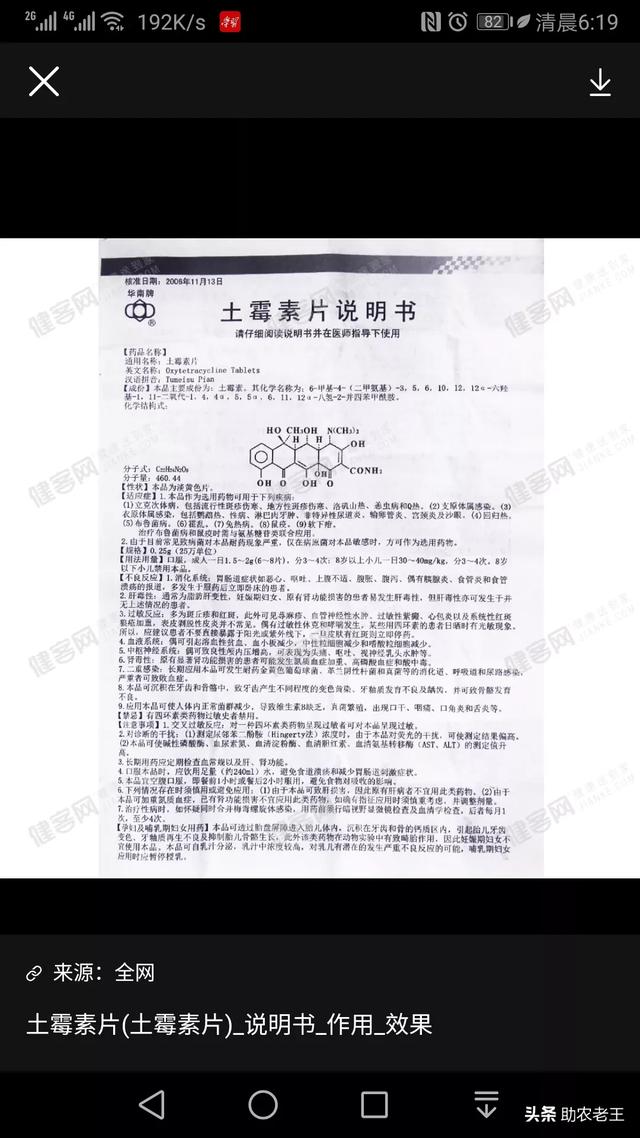 信鸽土霉素片的功效与作用:兽用土霉素片的功效与作用 鸽子能用人吃的药吗？有什么危害？
