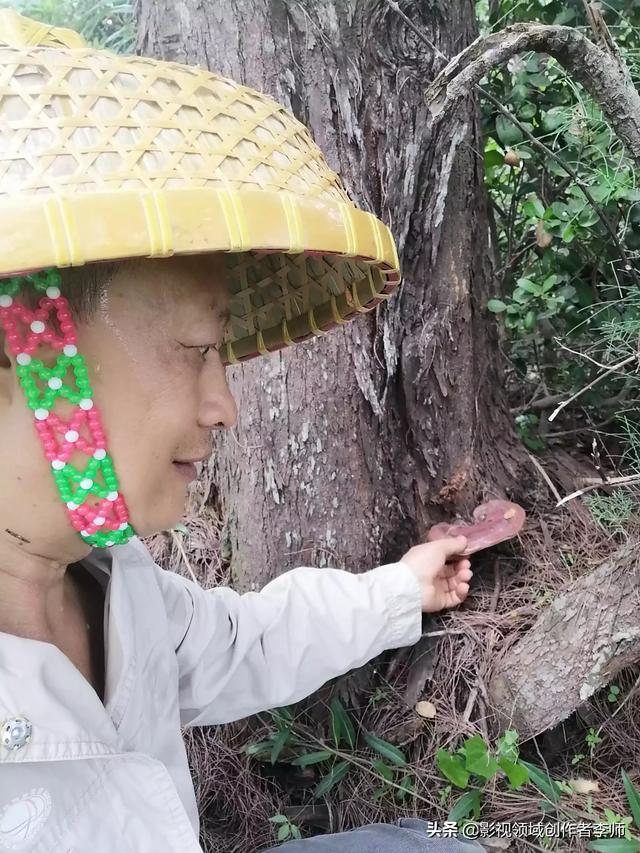 免疫力很低如何快速提升？