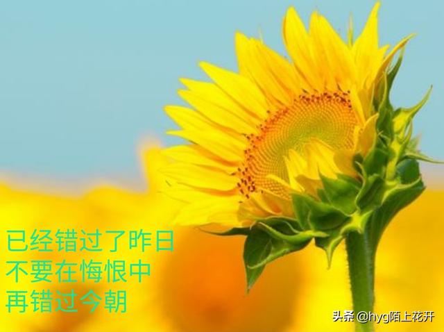 有哪些形容后悔的诗词？