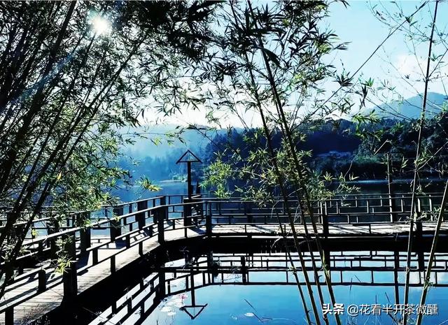 王宫风云:古代妃嫔们被打入冷宫，太监们都想去伺候，是真的吗？为什么？