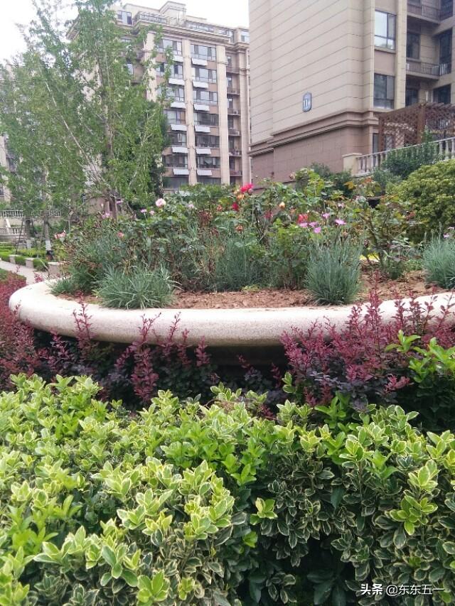 马家军:历史上的马占鳌是一个怎样的人？
