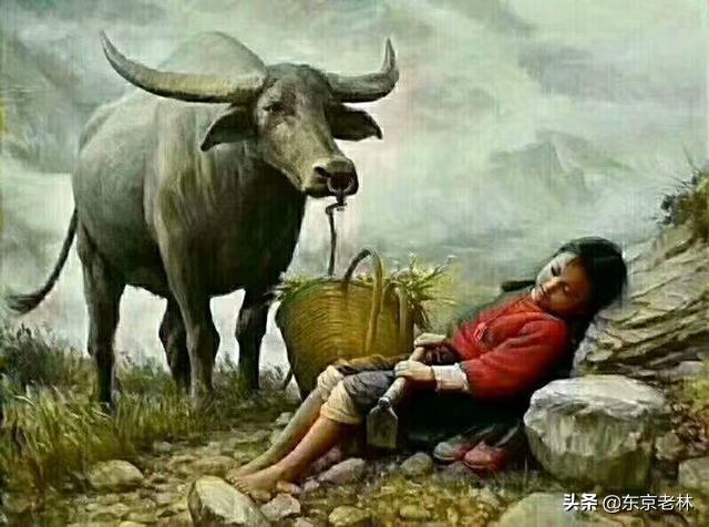 伤心童话剧情:周星驰拍的《美人鱼》这部电影主要讲述什么看完有什么感想