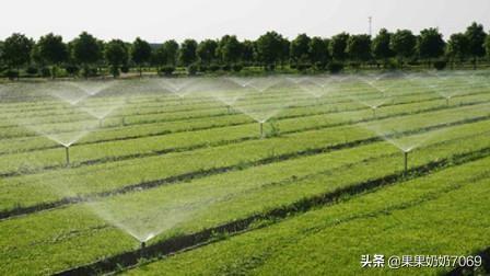 如果有五十万，你会选择县城买房？还是农村盖房？插图11