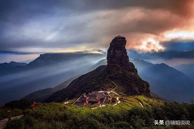 杜鹃花多少钱一株楼梯:赣州的苗木花卉主要有些什么品种？哪个比较好？