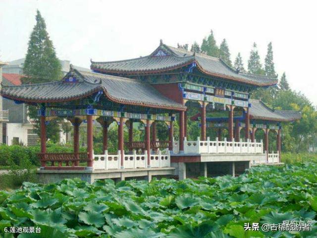 洞头跨海大桥灵异事件:能否推荐一下你们当地和所在城市有哪些旅游景点和美食？
