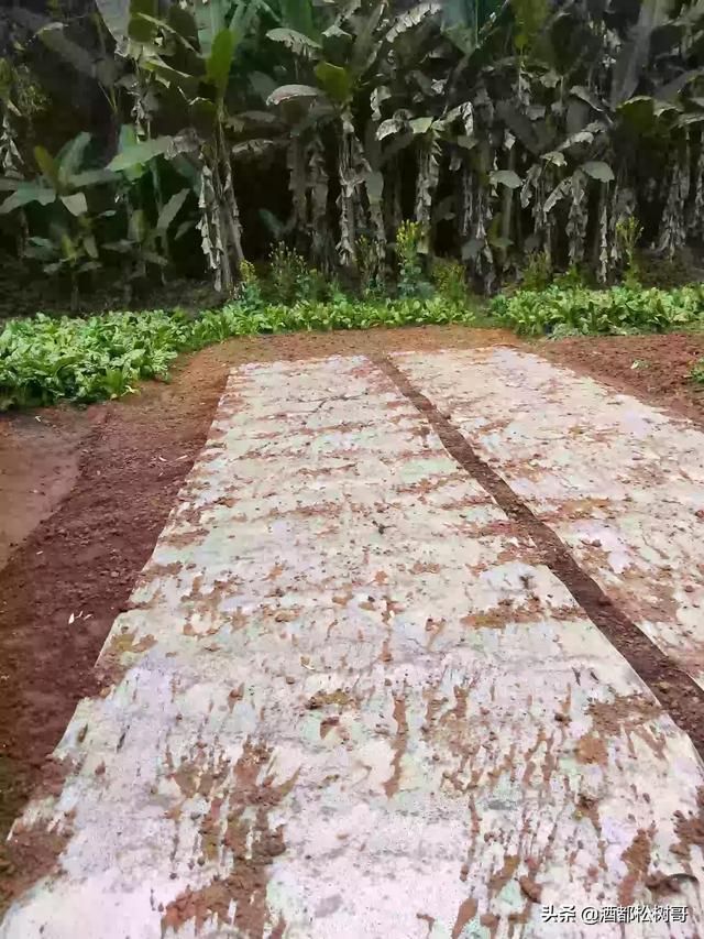 宠物殡葬需要投资多少钱:宠物殡葬多少钱 在农村做什么不需要太多的本钱？利润还不错？