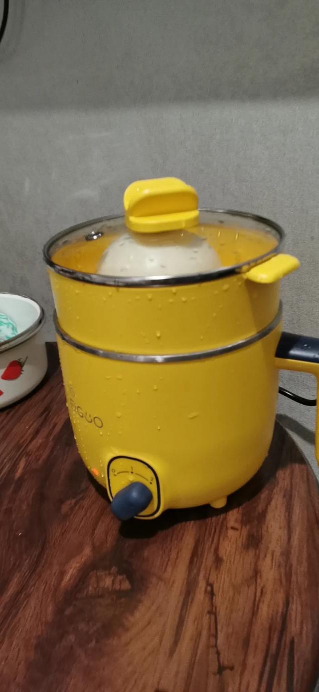 电动tuomaoda怎么样:有了解电动车品牌十大排行的吗？
