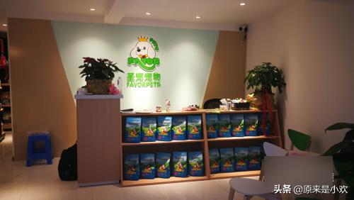 小小宠物店:宠物店的经营范围有哪些？