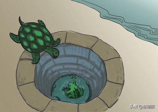 梦见坑里两个小乌龟，探索梦境中的奥秘与启示