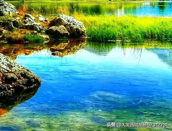 安徽的十大污染之一就是养鸭子，农村地区已经深受其害，有没有什么方法解决？插图10